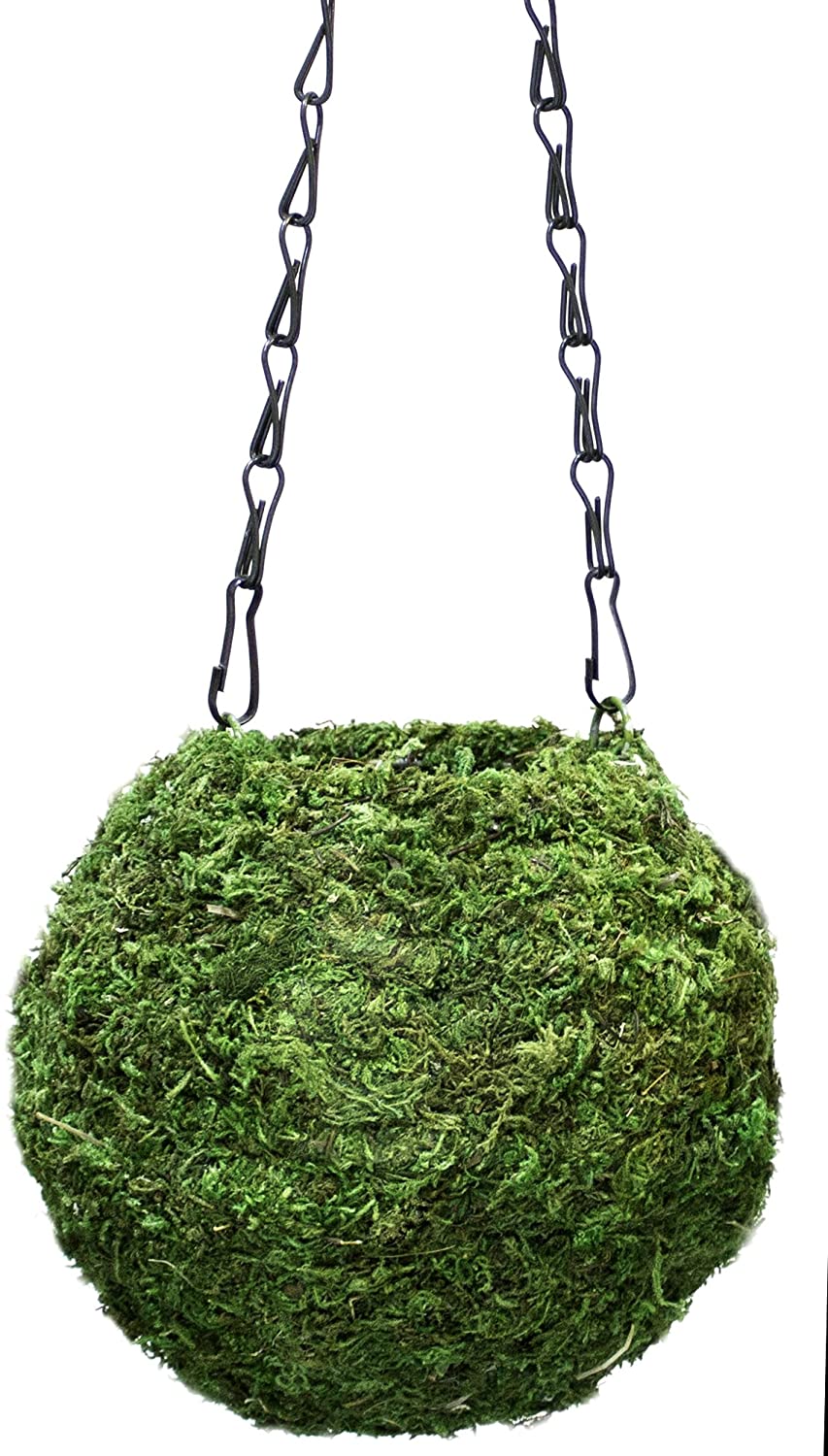Super Moss, Kokedama Green Moss Ball Planter - 6